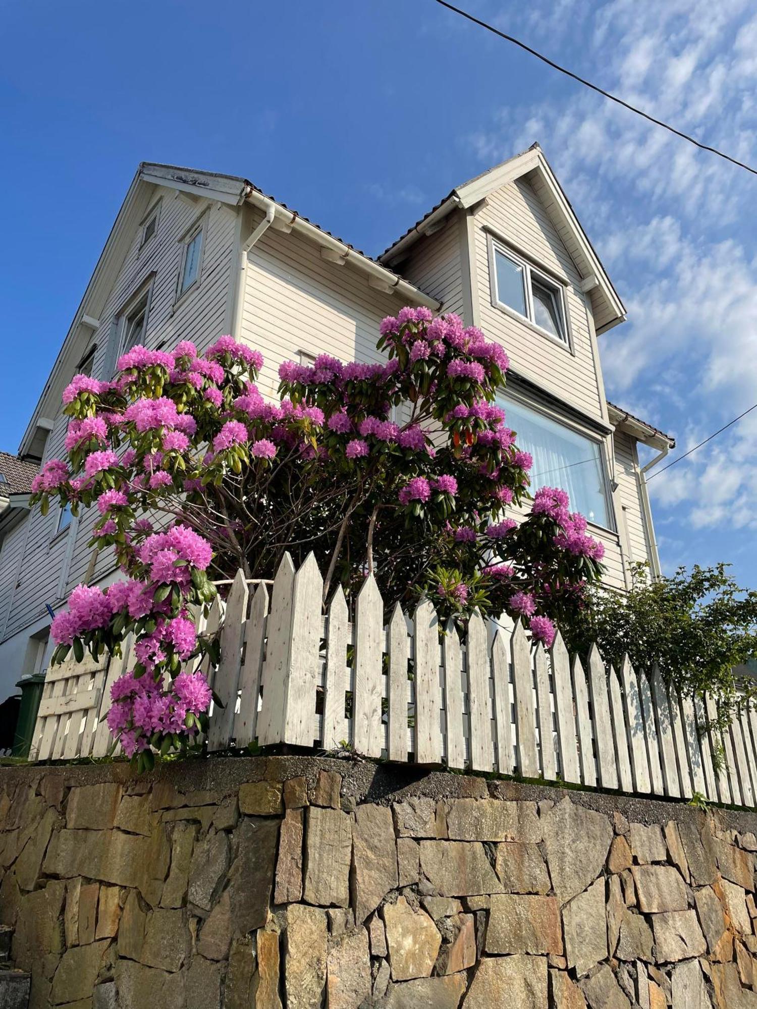 Gate 1 Bnb, 177 House Nr, Maloy Acomodação com café da manhã Exterior foto